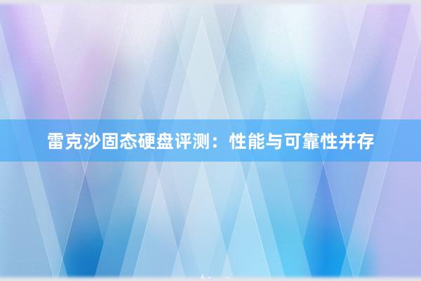 雷克沙固态硬盘评测：性能与可靠性并存